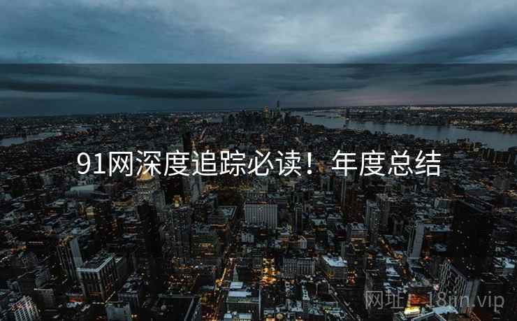 91网深度追踪必读！年度总结