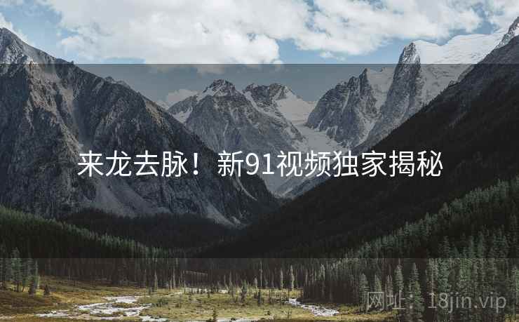 来龙去脉！新91视频独家揭秘