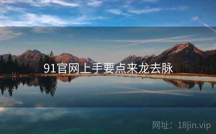 91官网上手要点来龙去脉