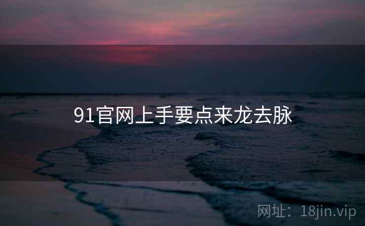 91官网上手要点来龙去脉