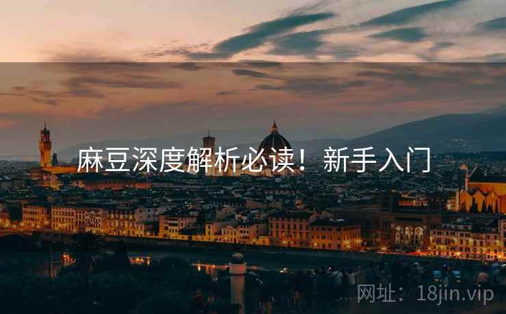 麻豆深度解析必读！新手入门